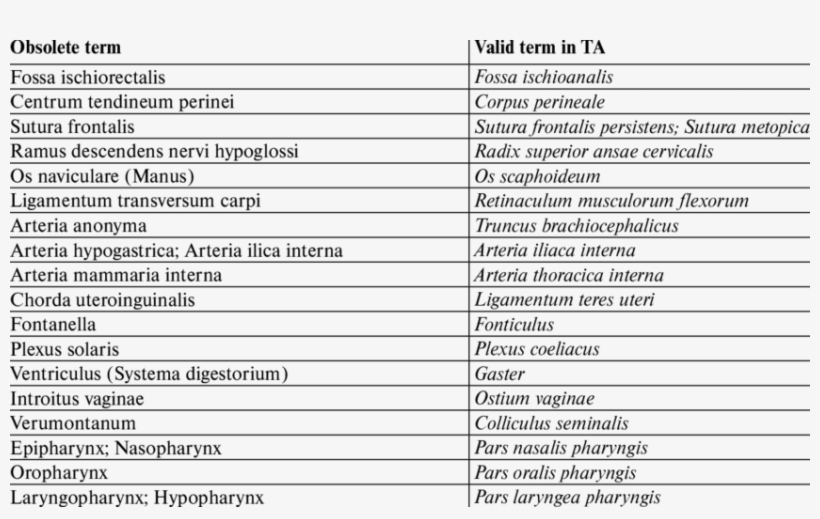 The Comparison Of The Obsolete Terms From Previous, transparent png #7407728