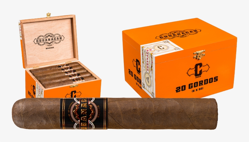 20 M Gordo, transparent png #7411081