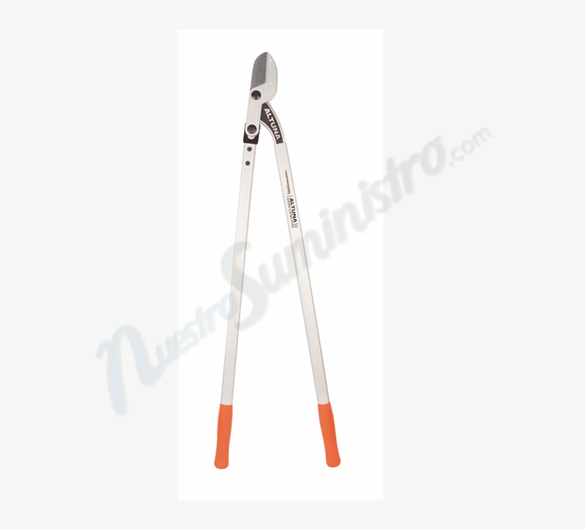 Altuna, transparent png #7411131