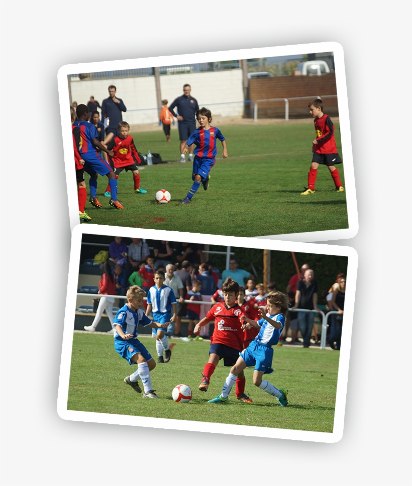 Peta Zetas Colabora En El Ix Torneo Benjamí Memorial, transparent png #7412031