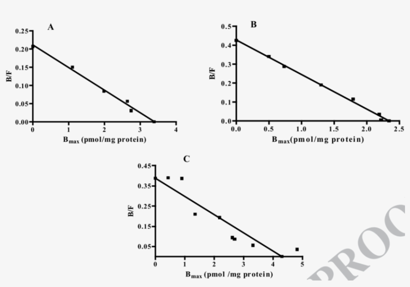 Representative Scatchard Analysis Of [ 3 H] Ro5-4864, transparent png #7416184