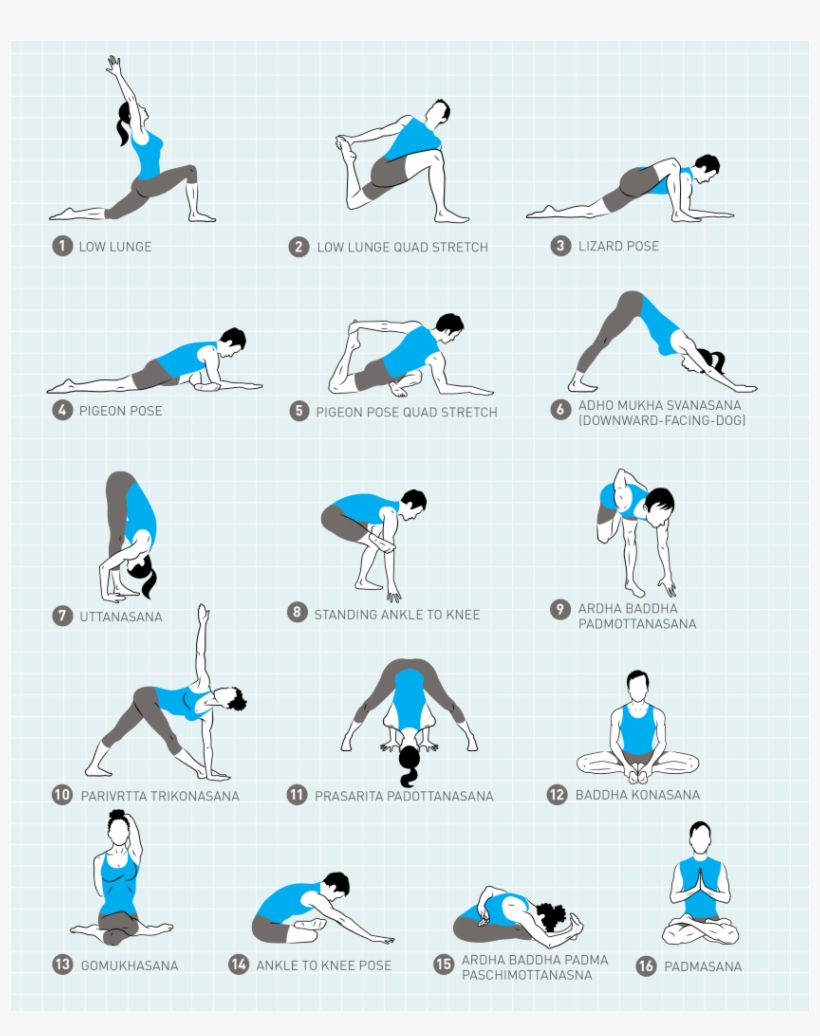 Fold Into Lotus Pose, transparent png #7417154