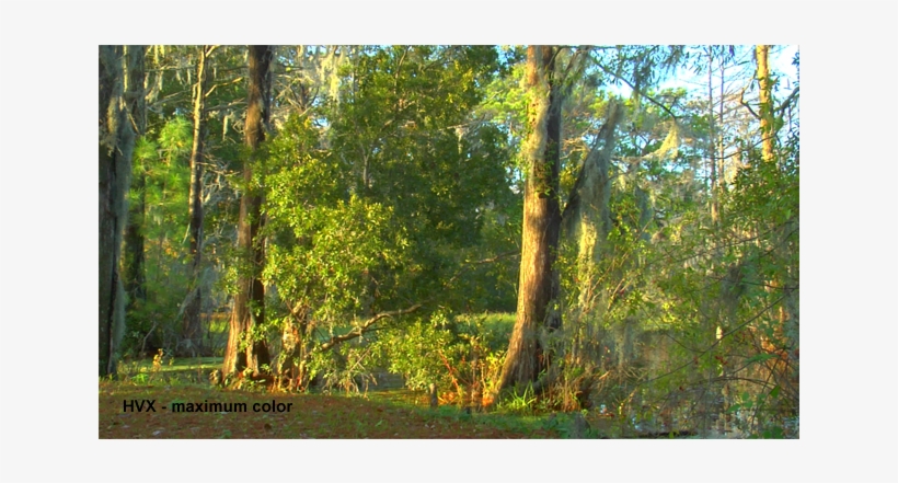 Panasonic Color Out Of It, But If You Can Tailor The, transparent png #7417437