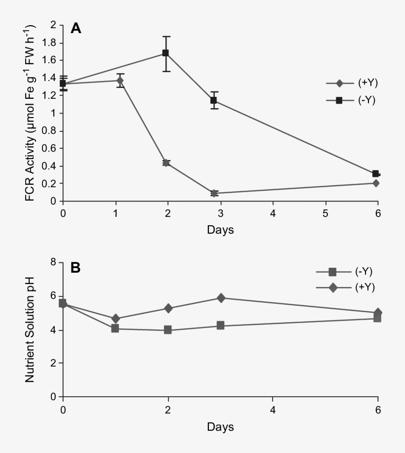 Effect Of Addition Of 10 Mm Ycl 3 To The Growth Medium, transparent png #7421228