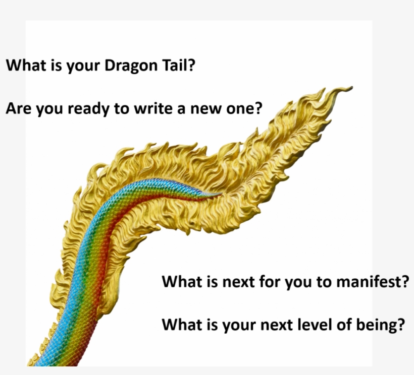 Dragon Training, transparent png #7421849