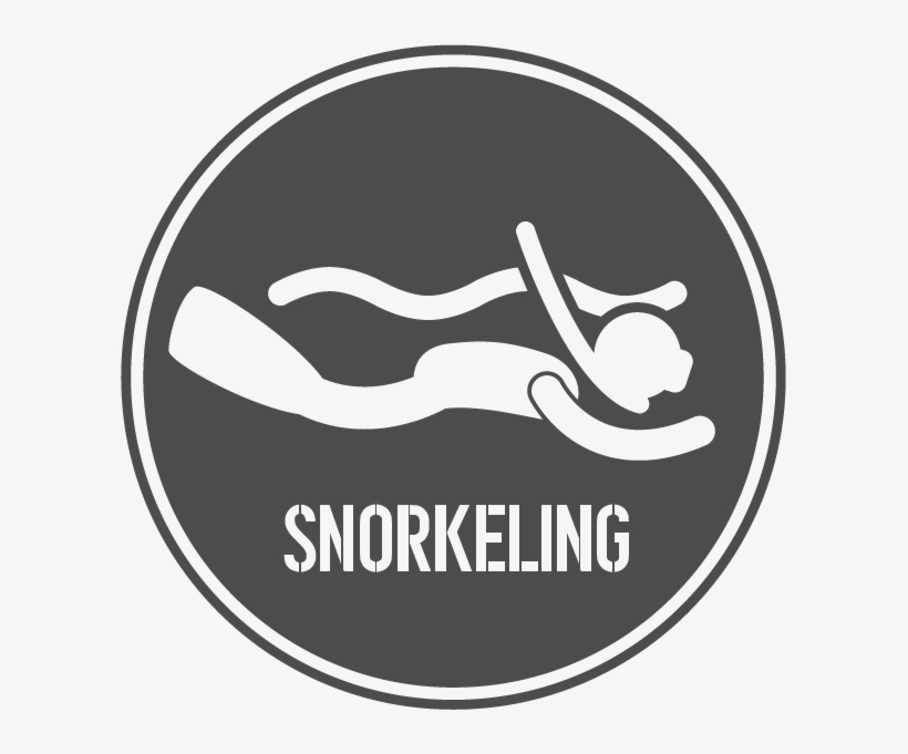 Snorkelingrecurso 42, transparent png #7422395