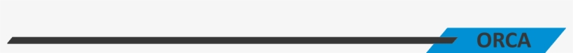 Orca Png, transparent png #7424184