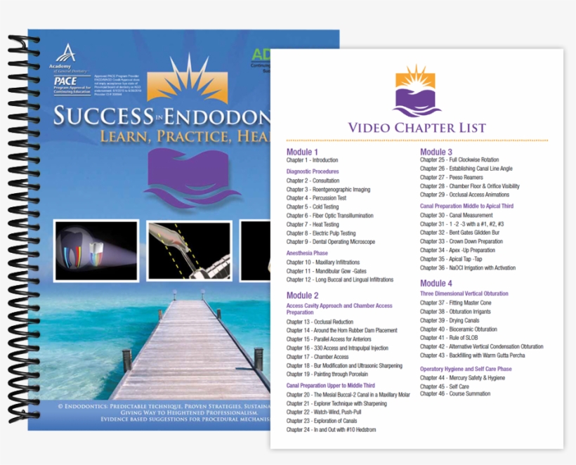 Success In Endodontics, transparent png #7424837