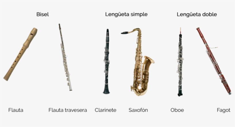 Instrumentos Viento Los Musicales, transparent png #7427438