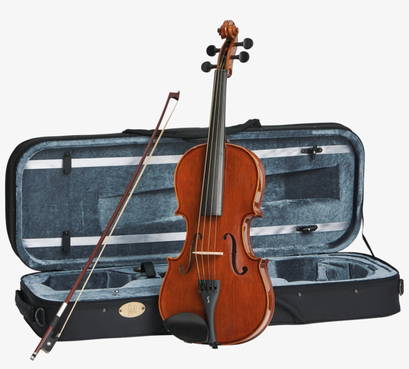 Viola Png, transparent png #7429139