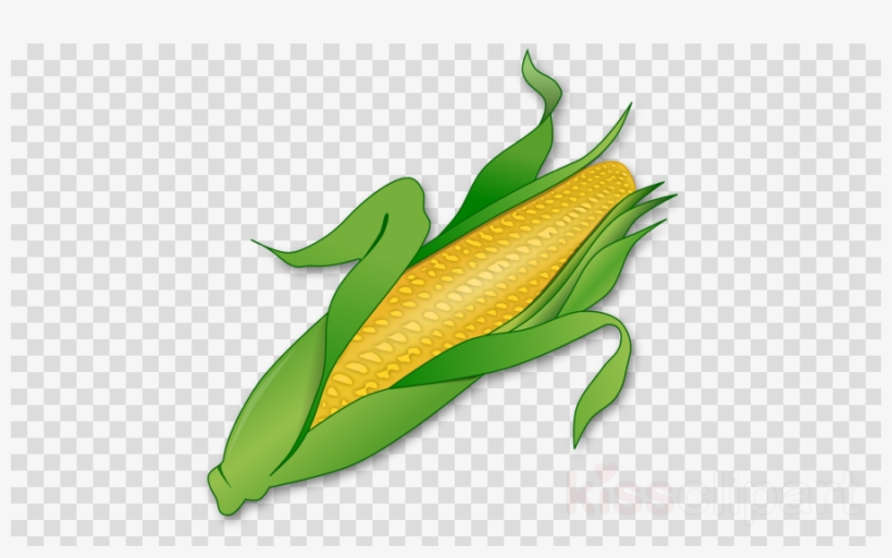 Candy Corn Png, transparent png #7429458