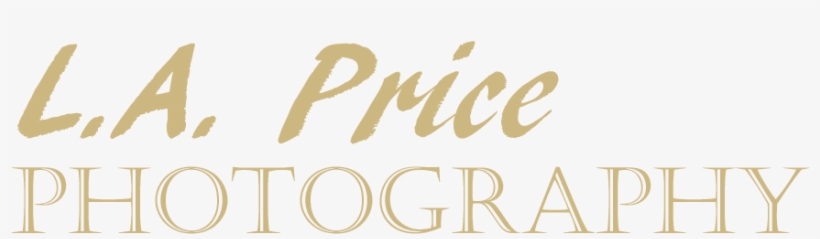 Price Photography, transparent png #7431837