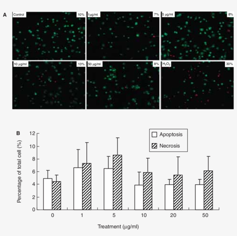 Mouse Primary Peritoneal Macrophage Viability Change, transparent png #7432866