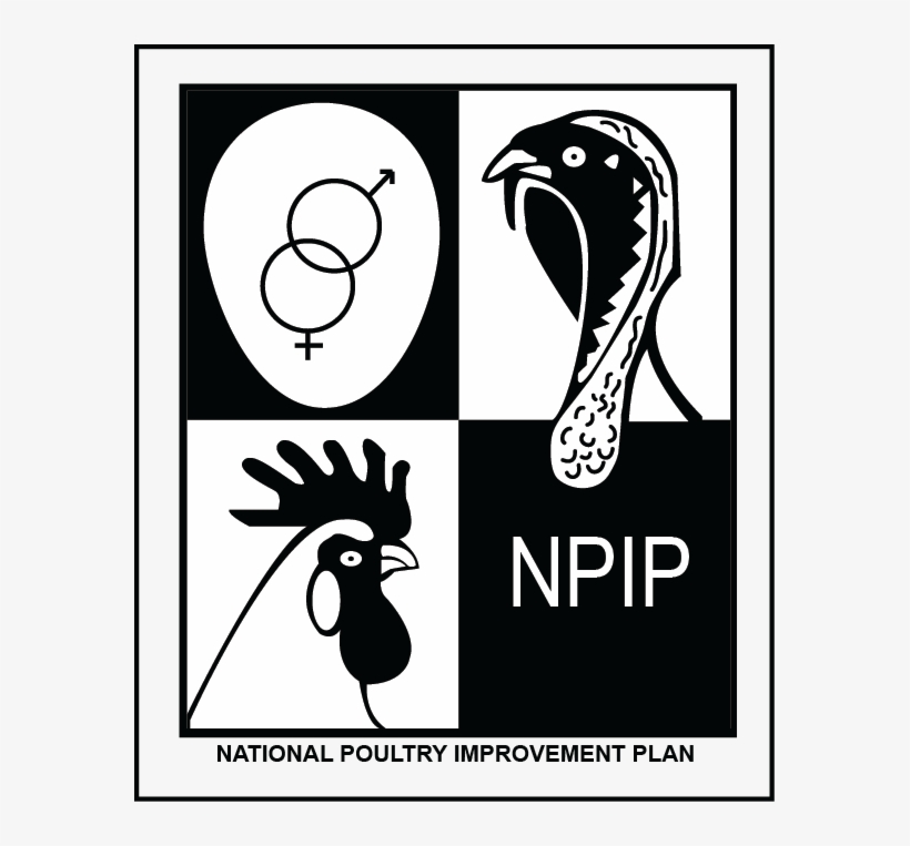 Npip Highdef, transparent png #7434959