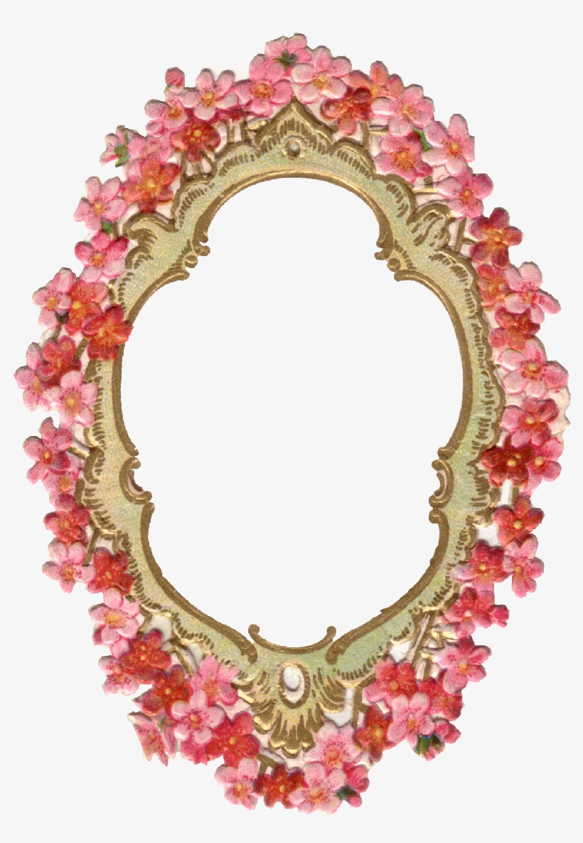 349 Cadre Fleurs Rouge, transparent png #7437269