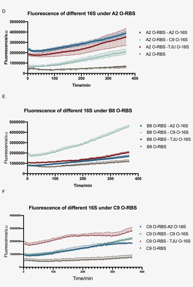 10 Characterisation Of Orthogonal Ribosome System Interaction, transparent png #7439273
