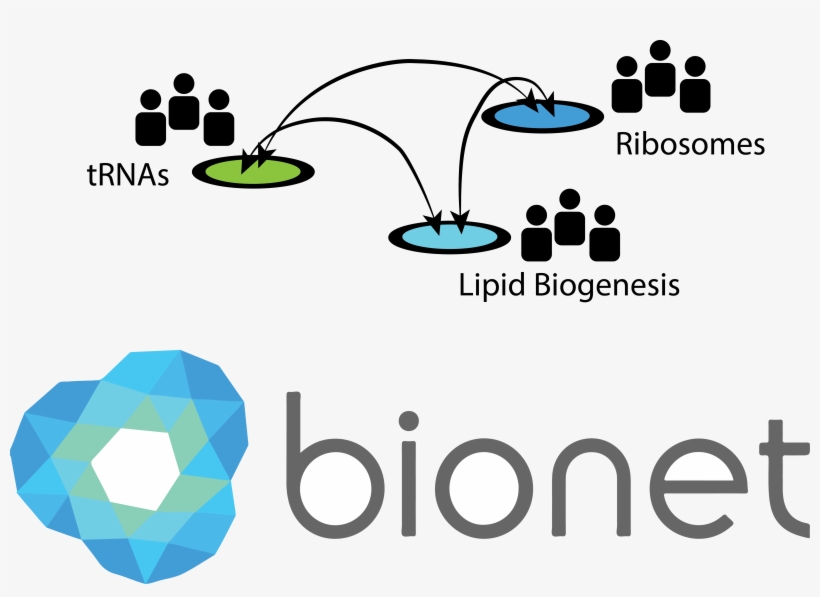 How Can The Biokernel Be Collaboratively Developed, transparent png #7439322