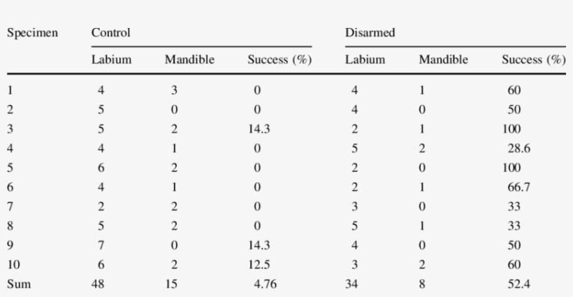 Use Of Labium Or Mandibles For Prey Capture And Relative, transparent png #7439332