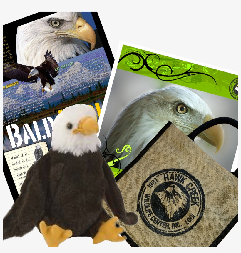 Eagle Tote, transparent png #7439893