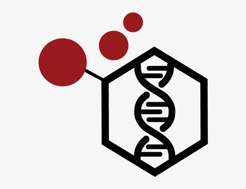 Unravel The Roles Of Secondary Metabolites, Cemist, transparent png #7441769