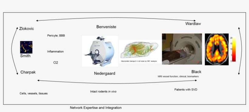 They Will Now Combine Their Unique Strengths And Motivations, transparent png #7442601