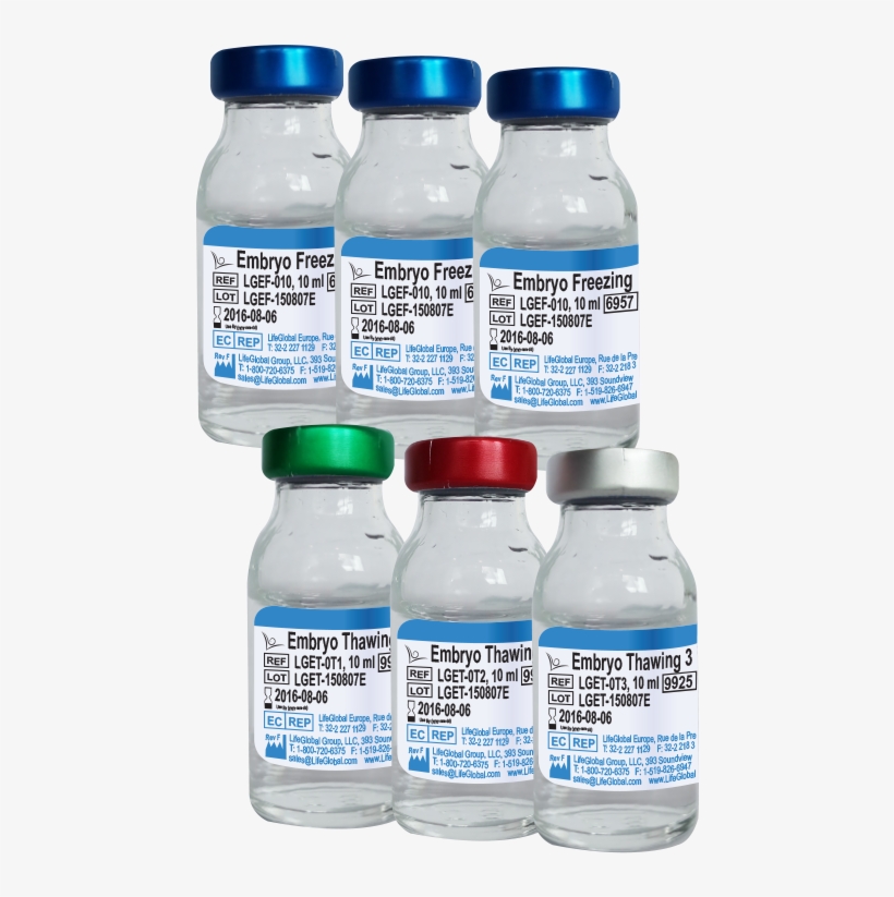 Embryo Freezing & Thawing, transparent png #7442895