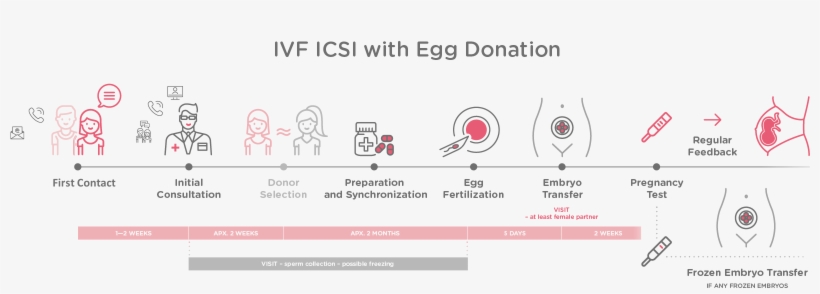 The Initial Process Of Therapy Planning Is Similar, transparent png #7443568