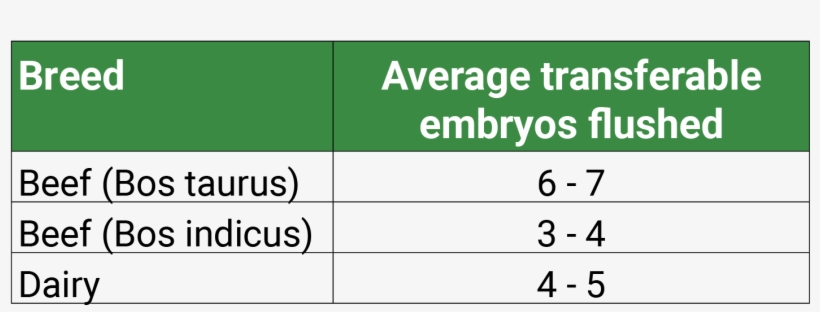 When The Embryos Are Flushed They Are Graded For Quality,, transparent png #7443939