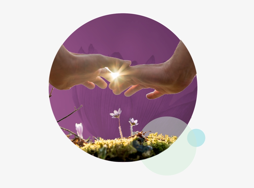 Consult Experts With More Than 30 Years Of Experience, transparent png #7444044