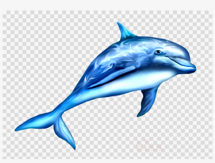 Dauphin Png Clipart Dolphin Clip Art, transparent png #7444242