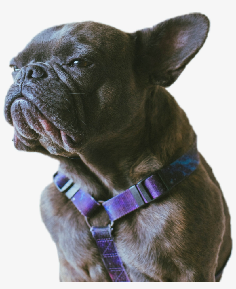 Annoyed Png, transparent png #7444995