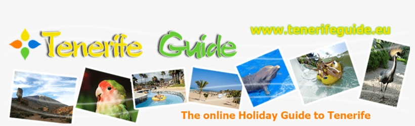Tenerife Travel Guide, transparent png #7449812