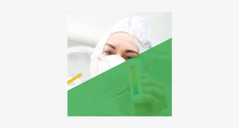 Chemical Plant Chemical Plant Chemist In Lab Polymers, transparent png #7449984