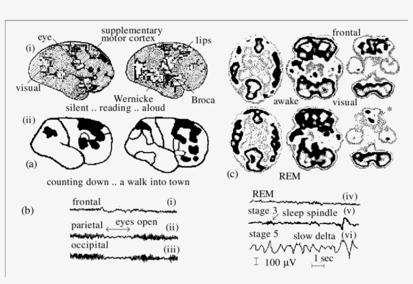 Silent Reading Is Contrasted With Reading Aloud, In, transparent png #7450030