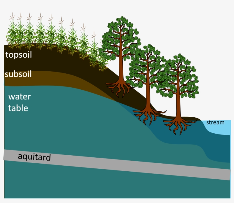 4 Replies 8 Retweets 39 Likes, transparent png #7450079