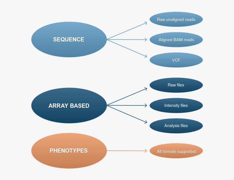 Ega Accepted Data Types, transparent png #7452562
