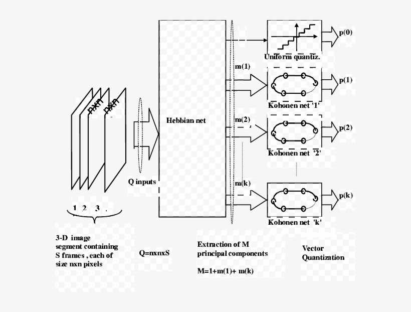 Architecture Of The Neural System For Compression Of, transparent png #7453815