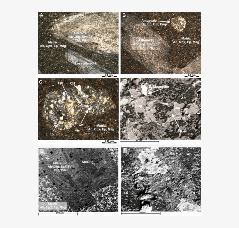 Photomicrographs And Back-scattered Electron Images, transparent png #7456465