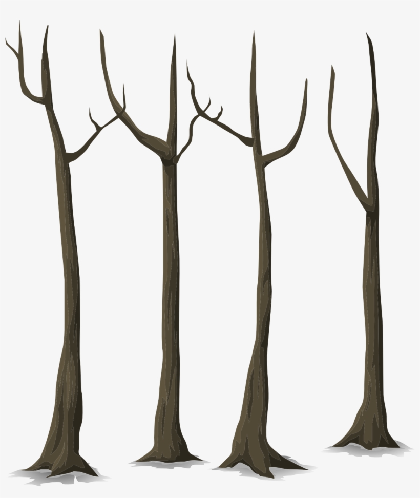 Forest, Trees, Dead, Autumn, Forest, Plants, transparent png #7456467