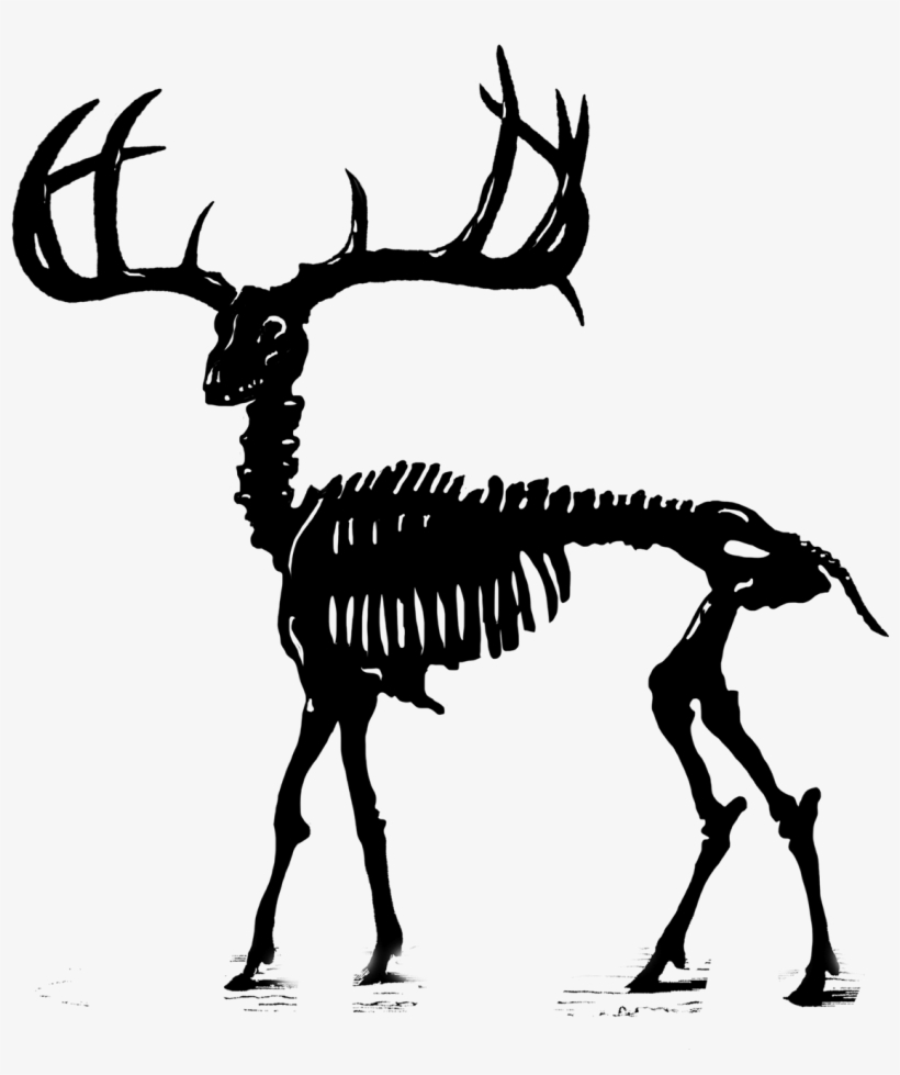 Stag Png, transparent png #7456975
