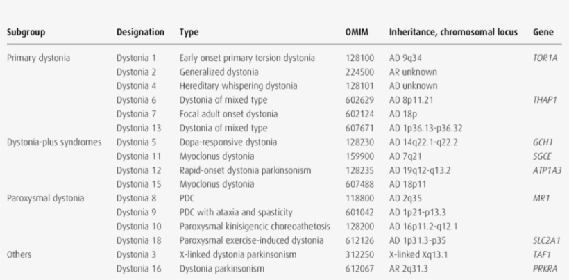 The Genetic Dystonias Abbreviations, transparent png #7457302