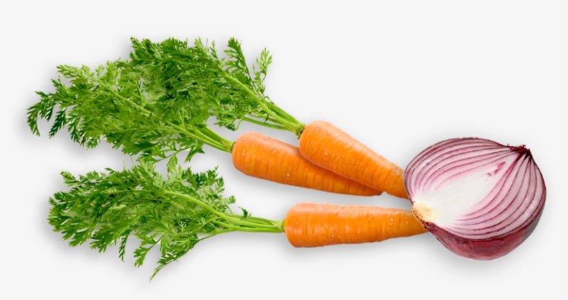 Glory Shot, transparent png #7462009