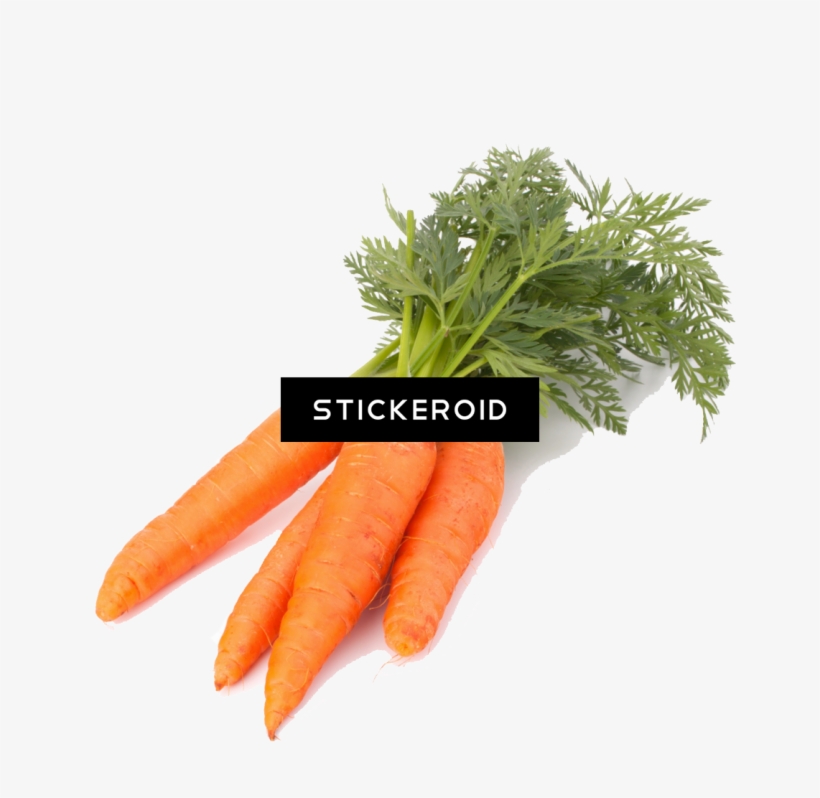Carrot, transparent png #7462048