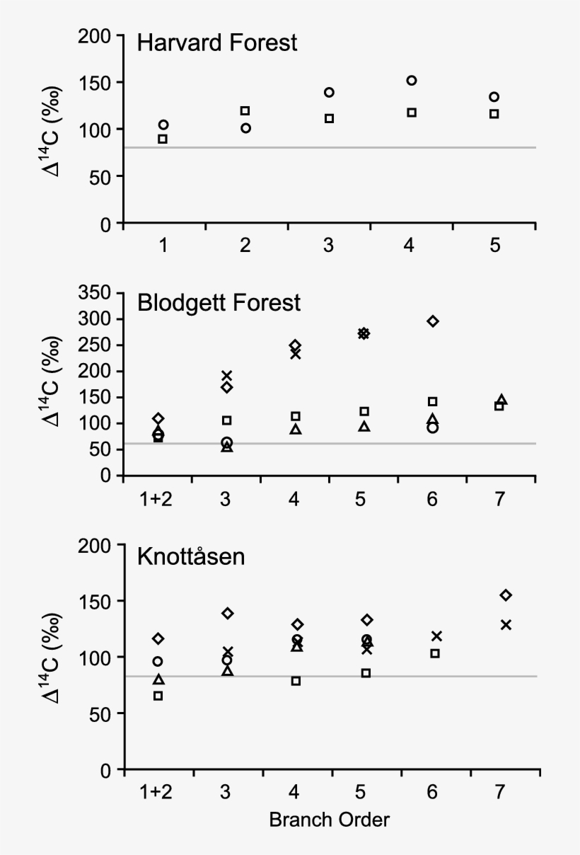 Harvard Forest (samples Are Acer Rubrum), transparent png #7462589