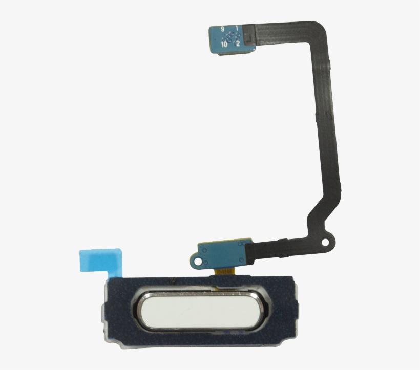Samsung Galaxy S5 White Home Button Assembly, transparent png #7463130