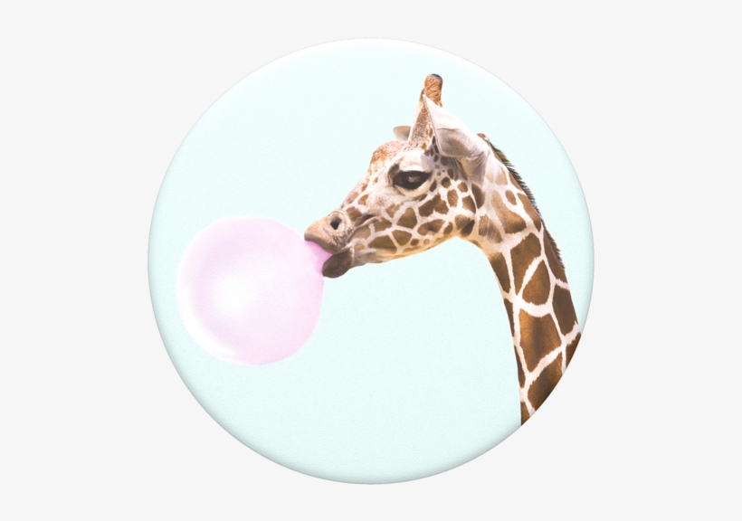 Bubblegum Png, transparent png #7463359