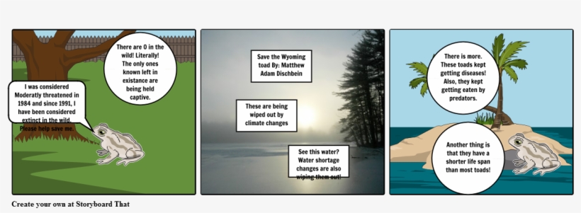 Wyoming Toad, transparent png #7466690