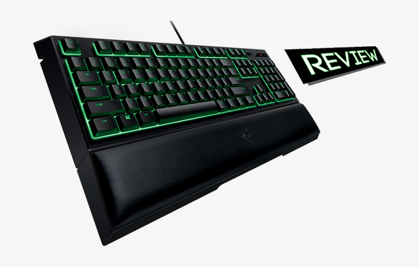 Others Crave The Quiet Spring Of Membrane Keys, transparent png #7467093