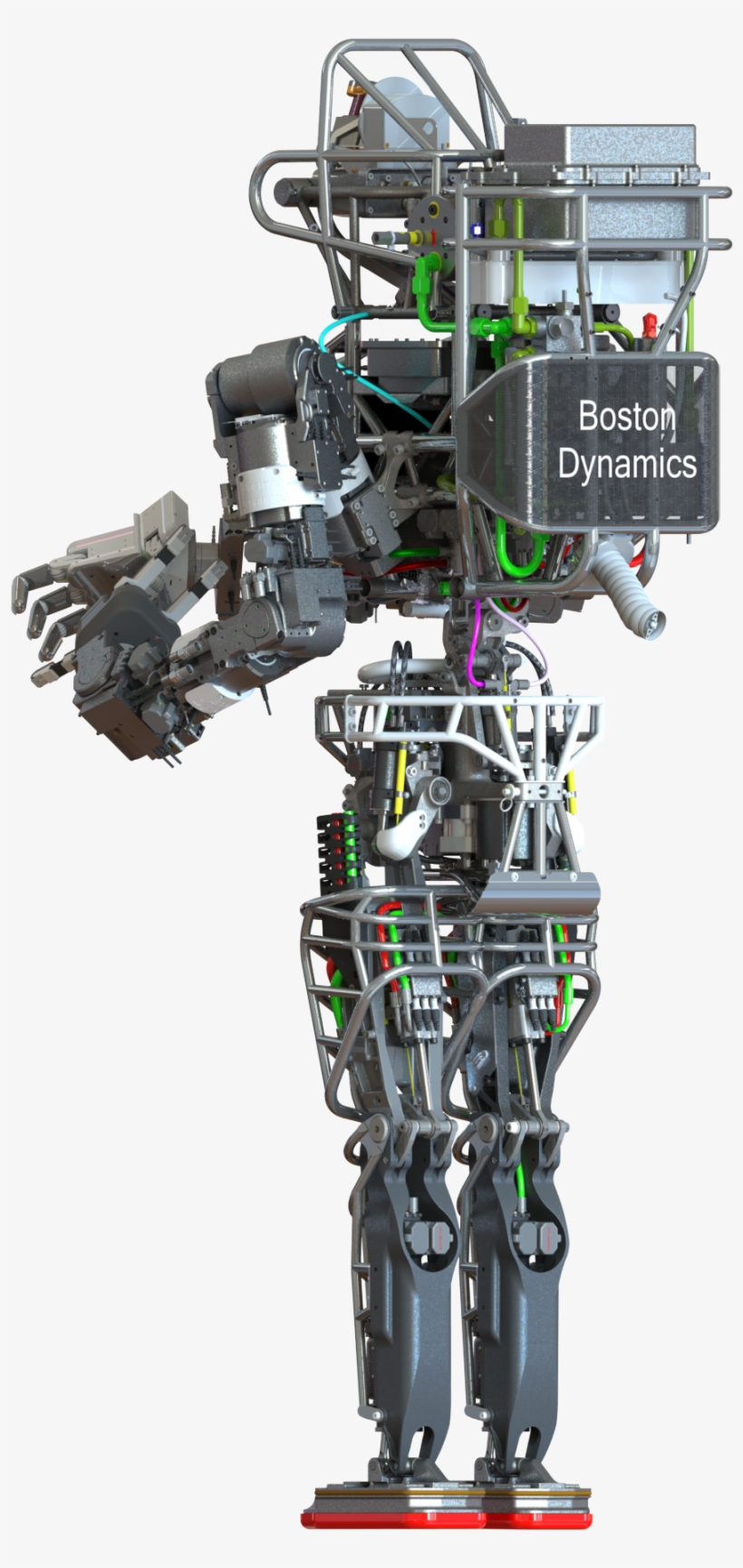Atlas Back View, transparent png #7467222
