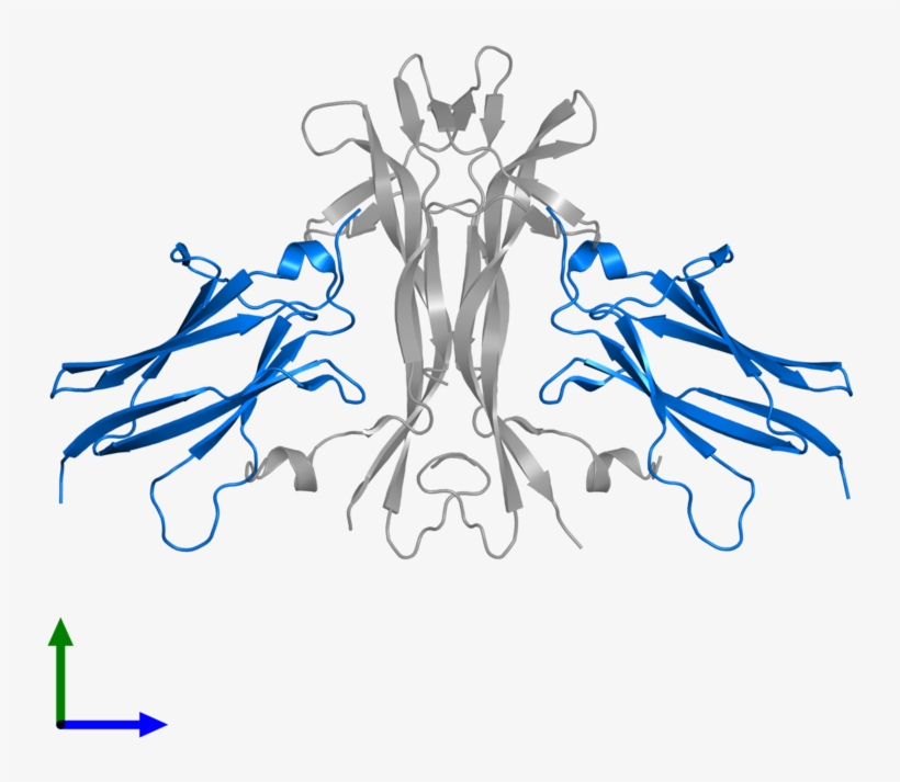 <div Class='caption-body'>pdb Entry 1www Contains 2, transparent png #7467538